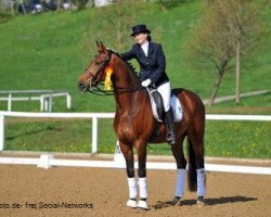 dressage horse Marburg's Fürstengold (Hanoverian, 2003, from Fürstenreich)