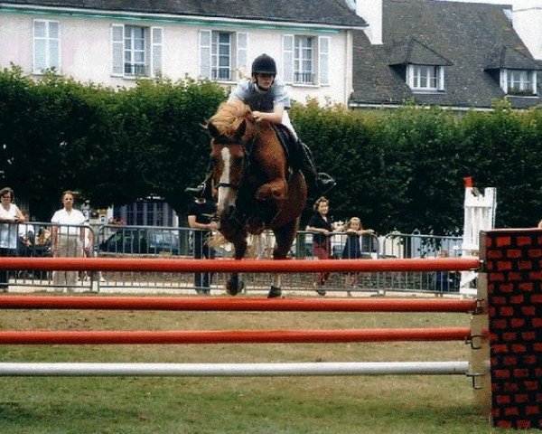 broodmare Ukraine du Hil (Selle Français, 1986, from Natif de Corday)