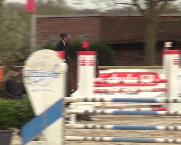 Lenklarer Reitertage 2022 (Werne)