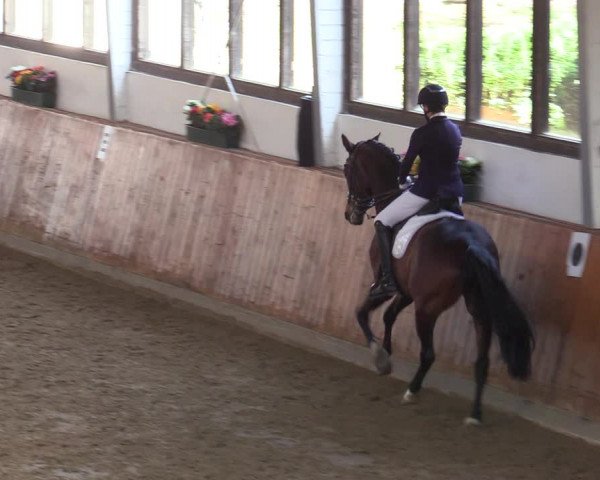 Reitturnier Werne-Lenklar 2022