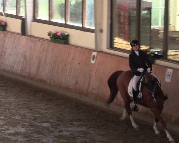 Reitturnier Werne-Lenklar 2022
