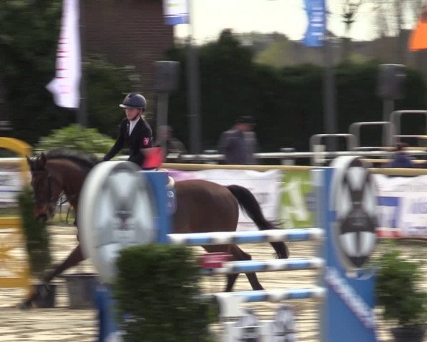 Reitturnier Werne-Lenklar 2022
