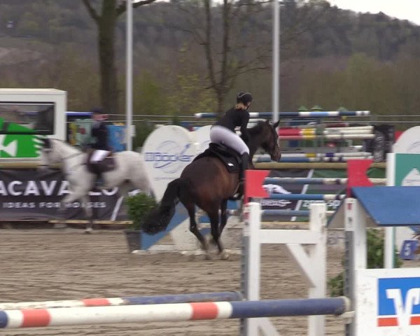 Reitturnier Werne-Lenklar 2022