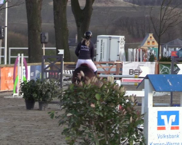 Lenklarer Reitertage 2022 (Werne)