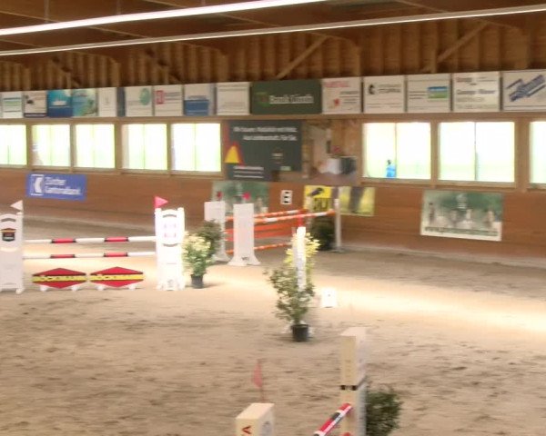 Reitturnier Rüti 2022