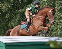 Dressurpferd Dublin Lights (Irish Sport Horse, 1999, von Paris Lights)