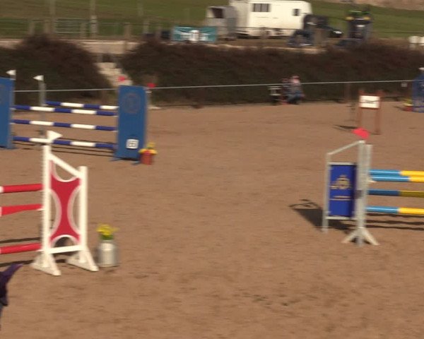 Reitturnier Ströbeck 2022