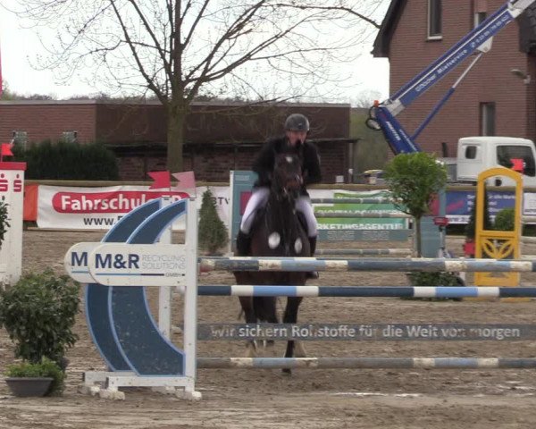 Lenklarer Reitertage 2022 (Werne)