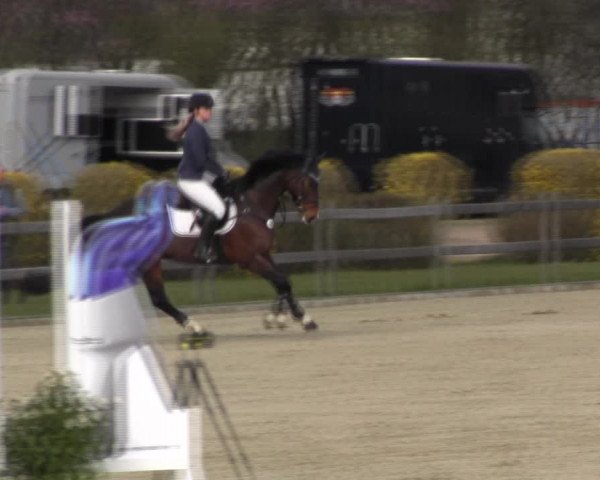 Reitturnier Elmshorn 2022