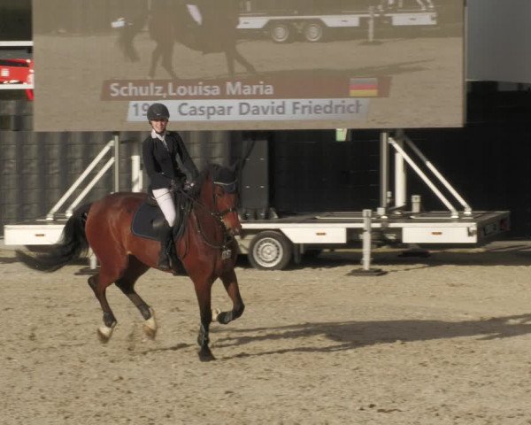 Reitturnier Aachen-Soers 2022