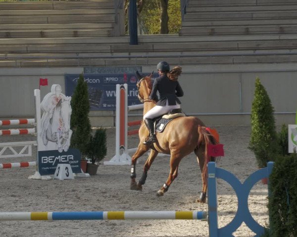 Reitturnier Aachen-Soers 2022