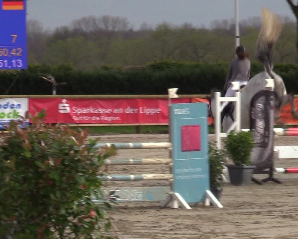 Lenklarer Reitertage 2022 (Werne)