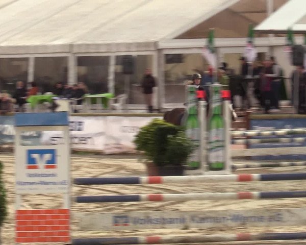 Lenklarer Reitertage 2022 (Werne)