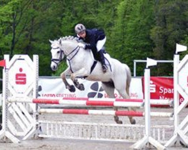 jumper Lucky (Luxembourg horse, 1996, from Colway Bold xx)