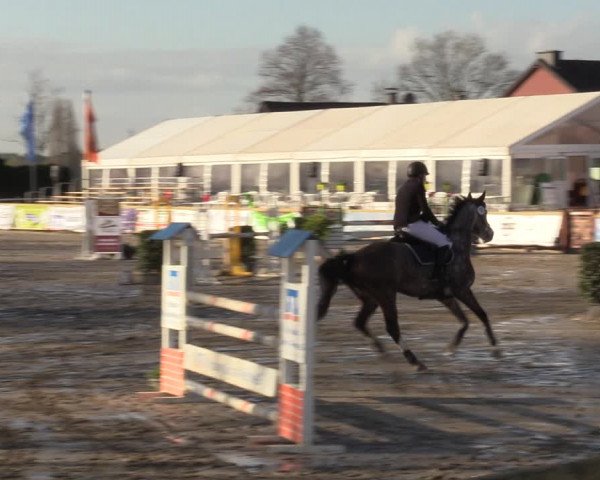 Reitturnier Werne-Lenklar 2022