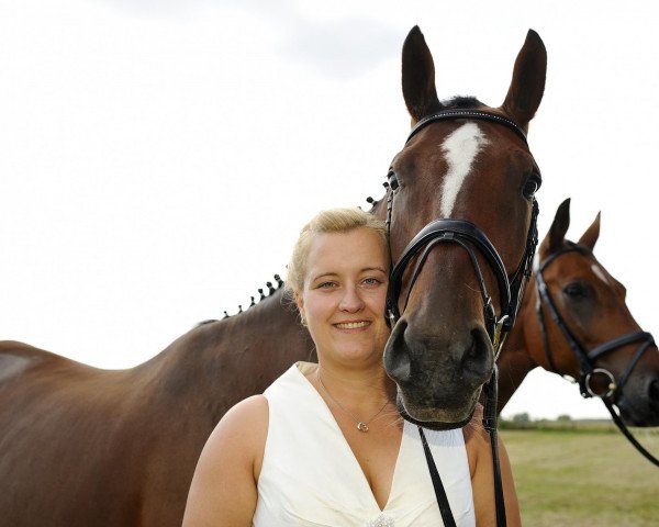 dressage horse Big City Life (Hanoverian, 2007, from Harmony's Baroncelli)
