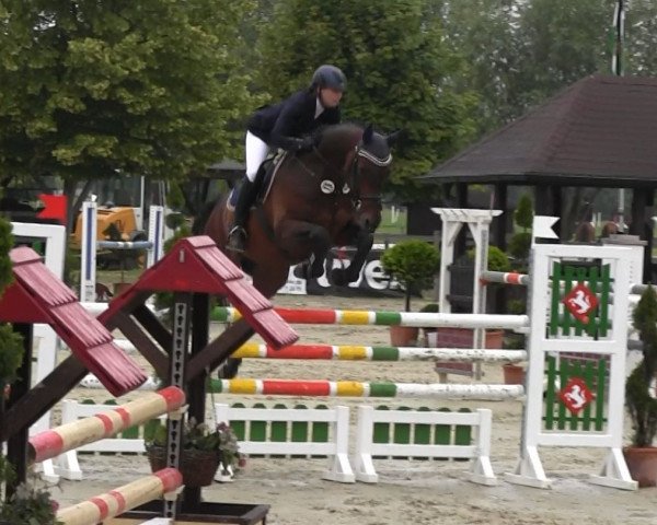 jumper A-Freak (Oldenburg, 2003, from Abke 4)