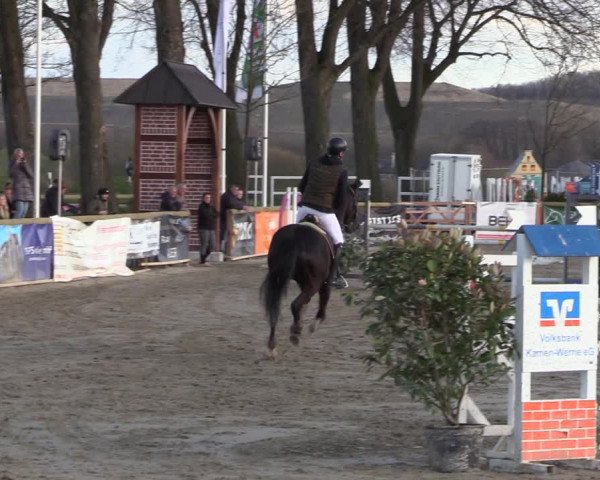 Reitturnier Werne-Lenklar 2022