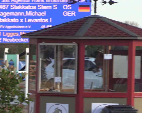 Reitturnier Werne-Lenklar 2022