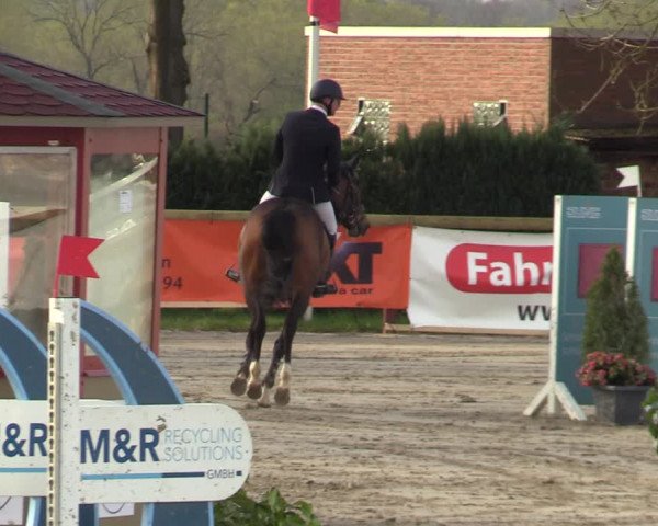 Reitturnier Werne-Lenklar 2022