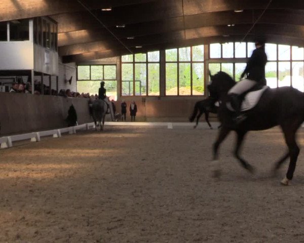 Reitturnier Leverkusen-Rheindorf 2022