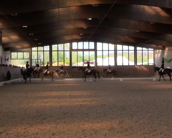 Reitturnier Leverkusen-Rheindorf 2022