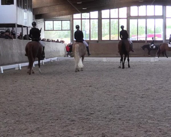 Reitturnier Leverkusen-Rheindorf 2022