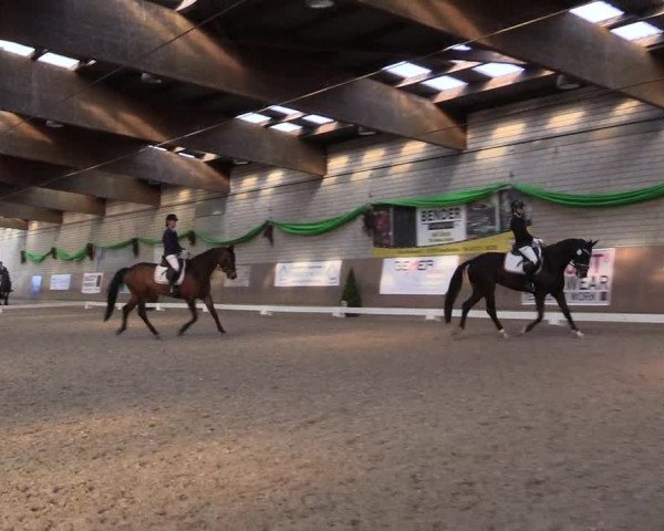 Reitturnier Leverkusen-Rheindorf 2022
