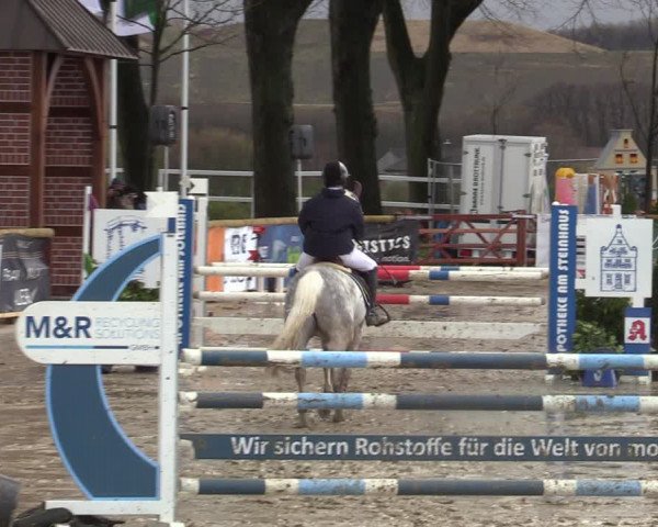 Reitturnier Werne-Lenklar 2022