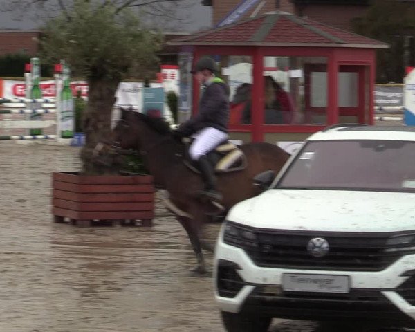 Reitturnier Werne-Lenklar 2022