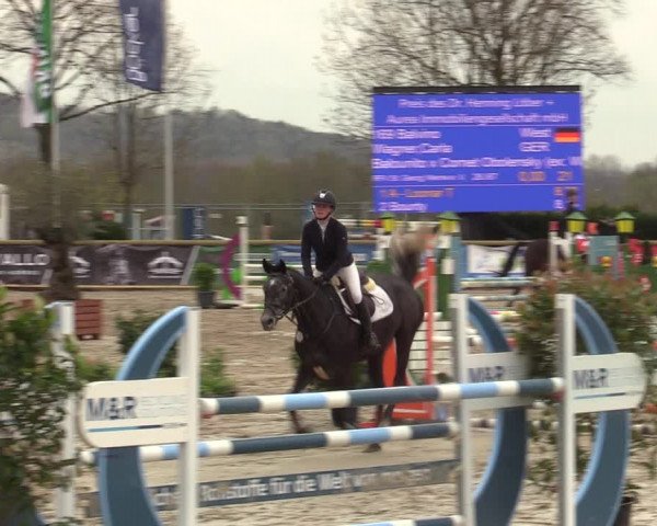 Lenklarer Reitertage 2022 (Werne)