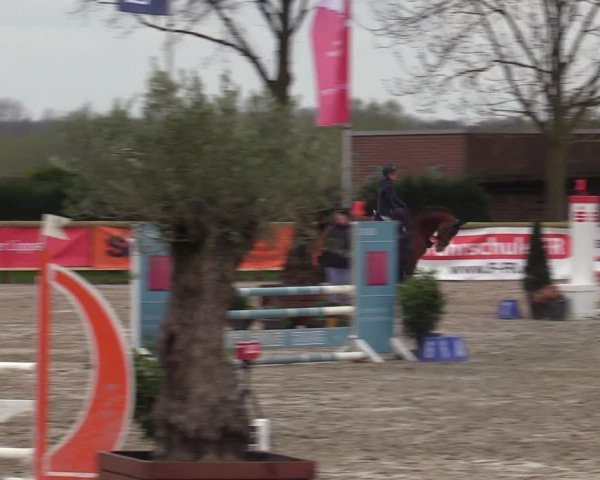 Lenklarer Reitertage 2022 (Werne)