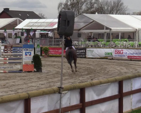 Lenklarer Reitertage 2022 (Werne)