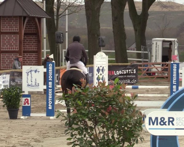 Reitturnier Werne-Lenklar 2022