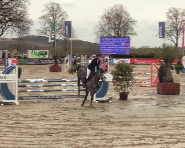 Lenklarer Reitertage 2022 (Werne)