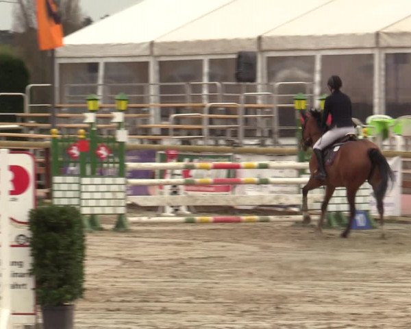 Lenklarer Reitertage 2022 (Werne)