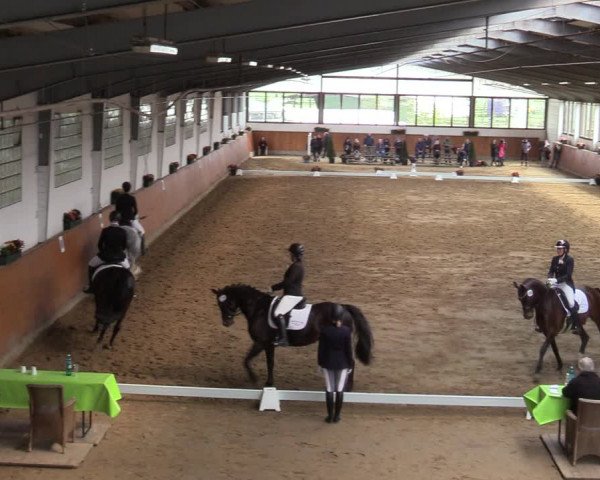 Reitturnier Werne-Lenklar 2022