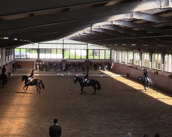 Lenklarer Reitertage 2022 (Werne)