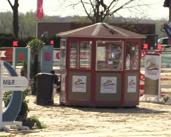 Lenklarer Reitertage 2022 (Werne)