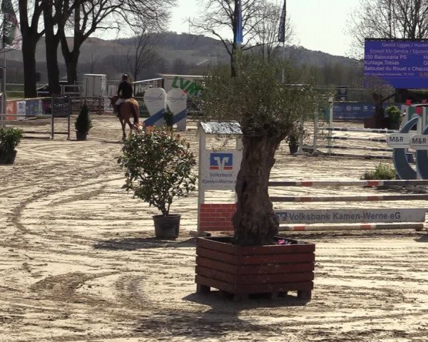 Lenklarer Reitertage 2022 (Werne)