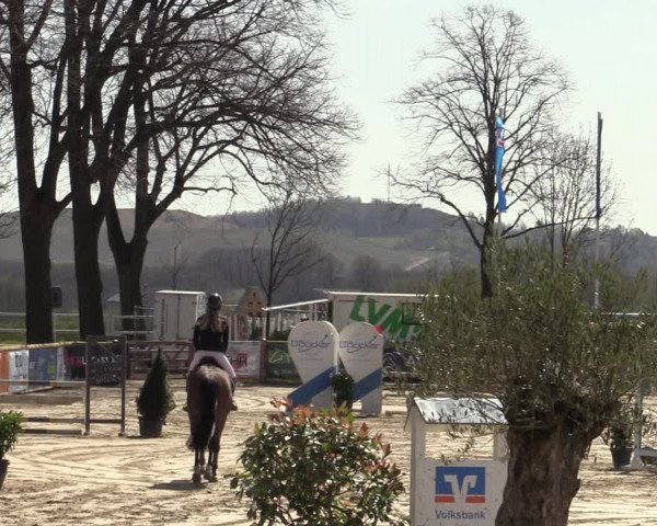 Lenklarer Reitertage 2022 (Werne)