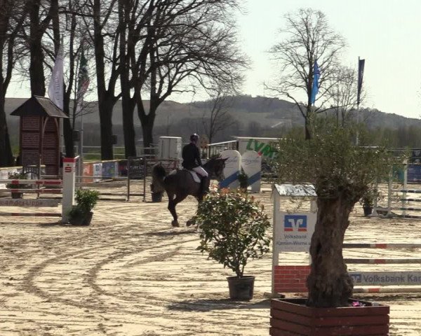 Reitturnier Werne-Lenklar 2022