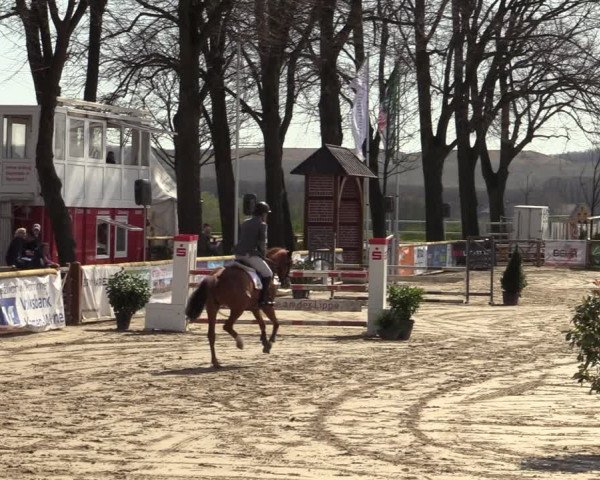 Reitturnier Werne-Lenklar 2022