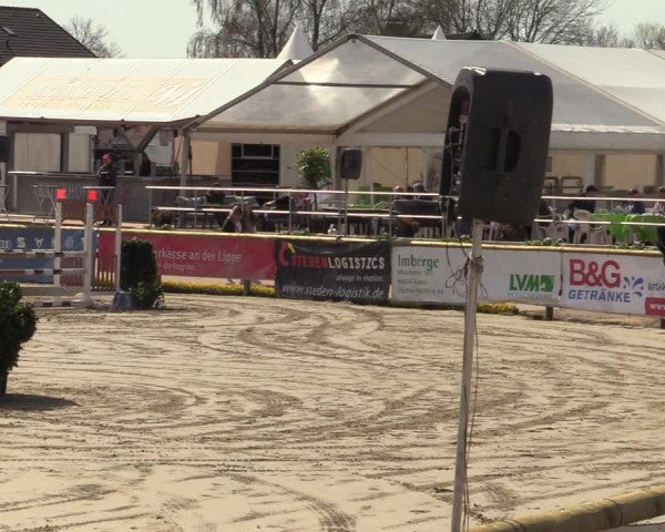 Reitturnier Werne-Lenklar 2022