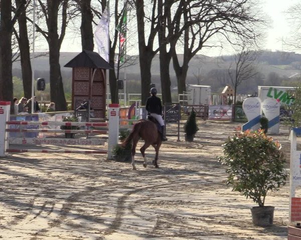 Lenklarer Reitertage 2022 (Werne)