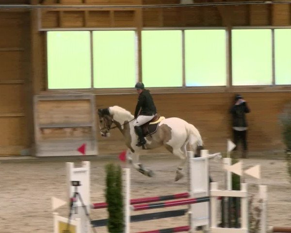 Reitturnier Rüti 2022