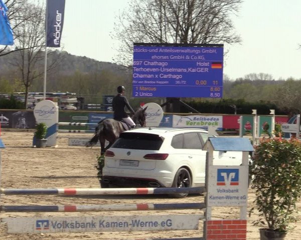 Lenklarer Reitertage 2022 (Werne)