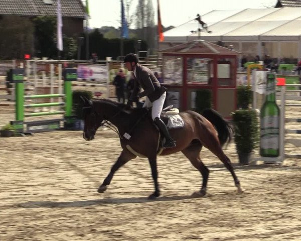 Reitturnier Werne-Lenklar 2022