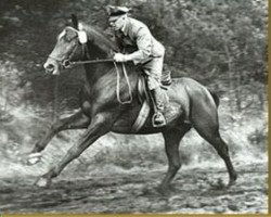 Deckhengst Graphit (Hannoveraner, 1964, von Grande)