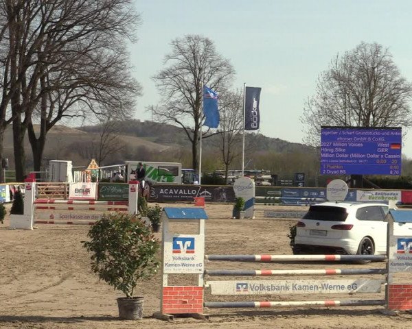 Lenklarer Reitertage 2022 (Werne)
